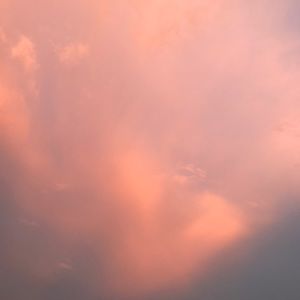 Meet your Posher, Rosa